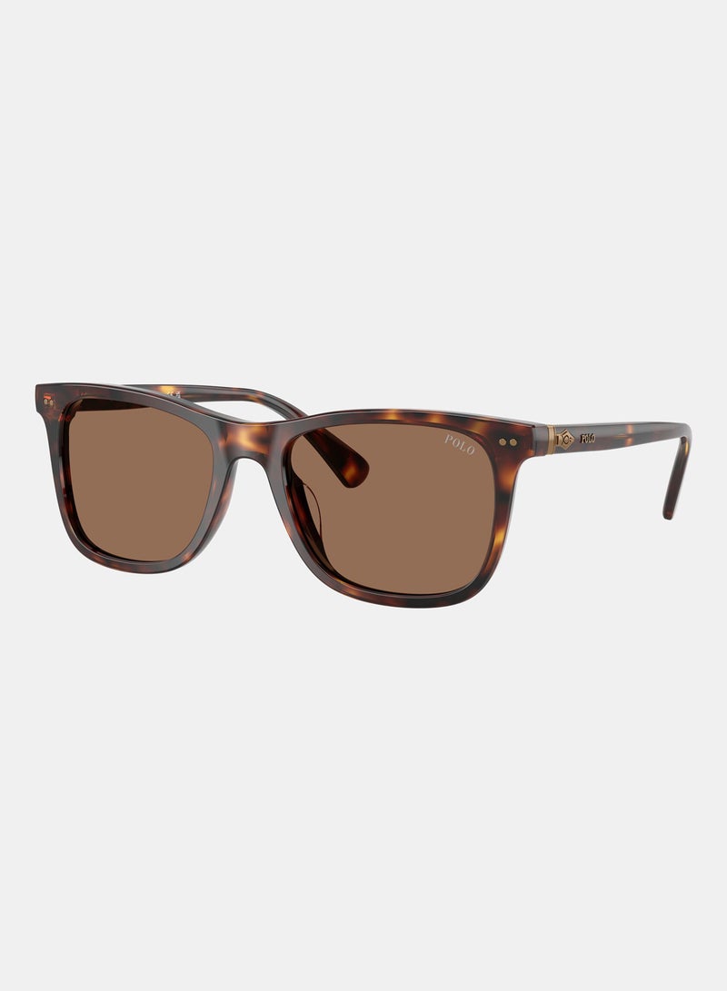 POLO RALPH LAUREN Full Rim Square Sunglasses 0PH4220U - Image 2
